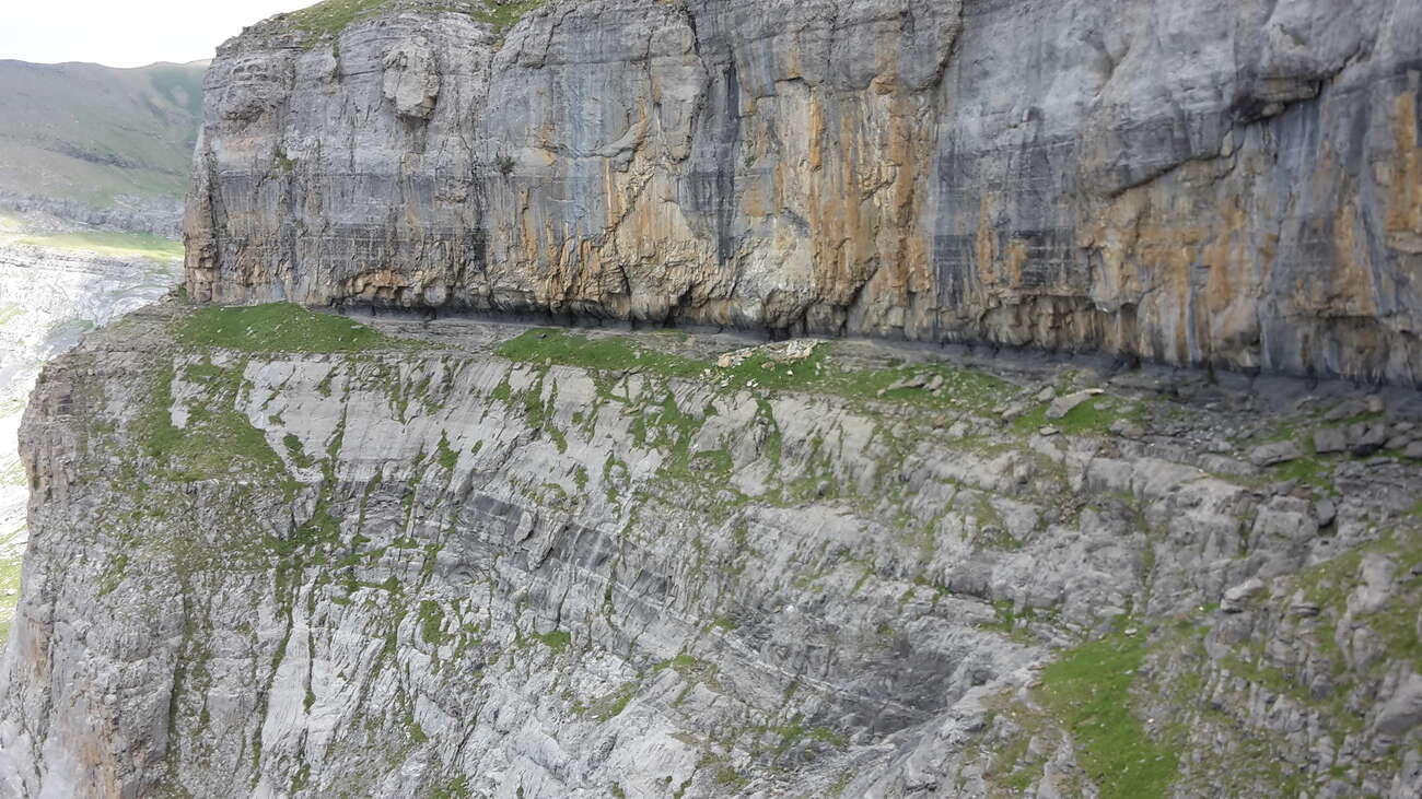 Randonnée guidée sur la vire des fleurs au-dessus du canyon d'Ordesa