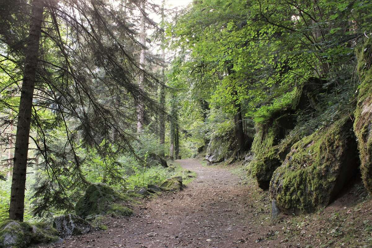 Balade guidée sur l'histoire de Cauterets et du thermalisme