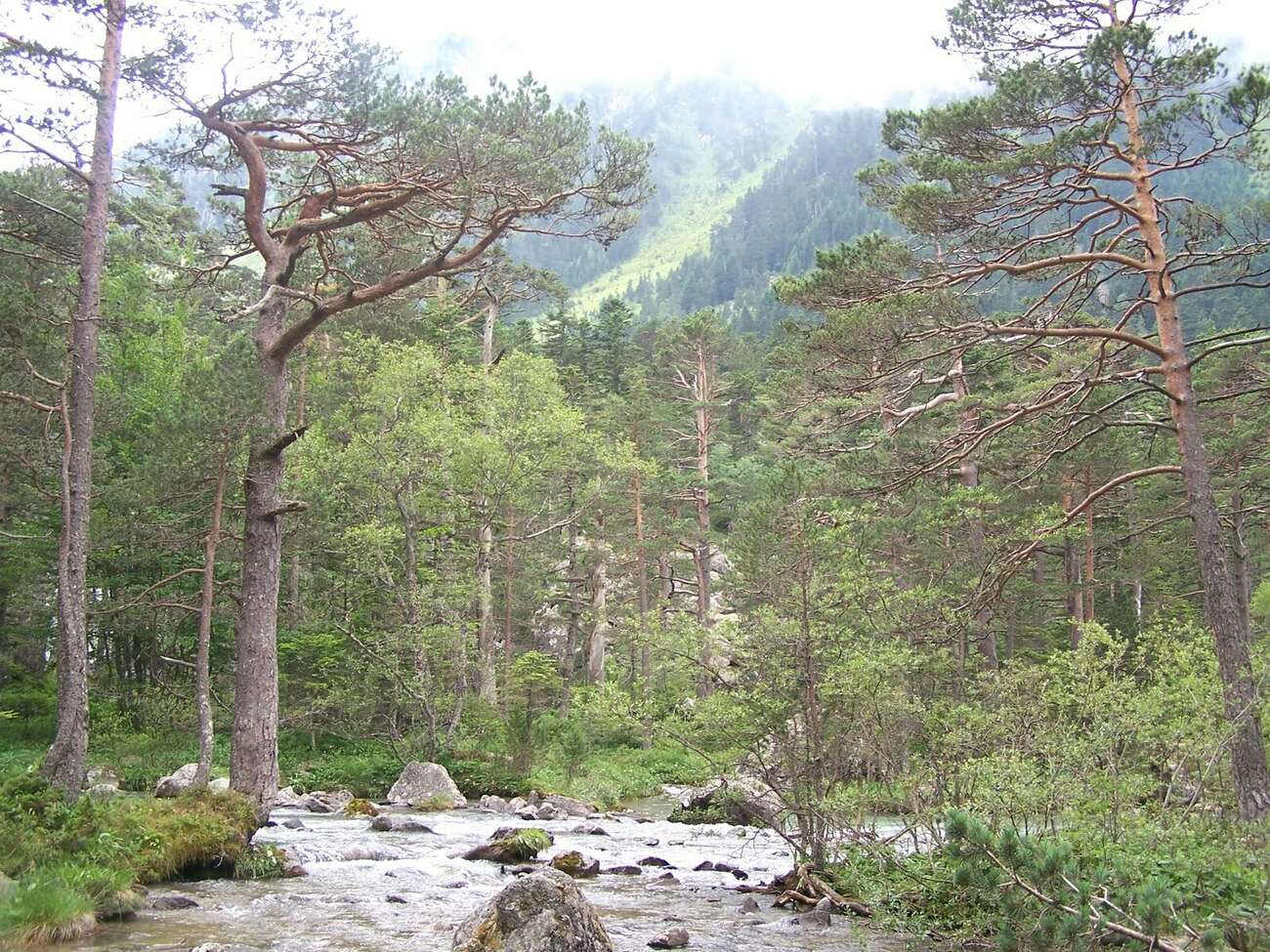Randonnée guidée nature sauvage en vallée de Gaube