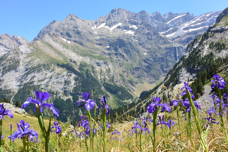 Paysage sauvage et préservé avec flore de montagne, accessible uniquement par randonnée guidée