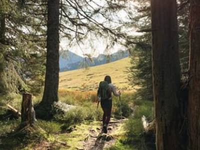 Randonnée forestière et panoramique en Val d'Azun