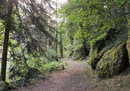 Balade et histoire au fil des eaux de Cauterets