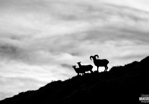 Randonnée photographique